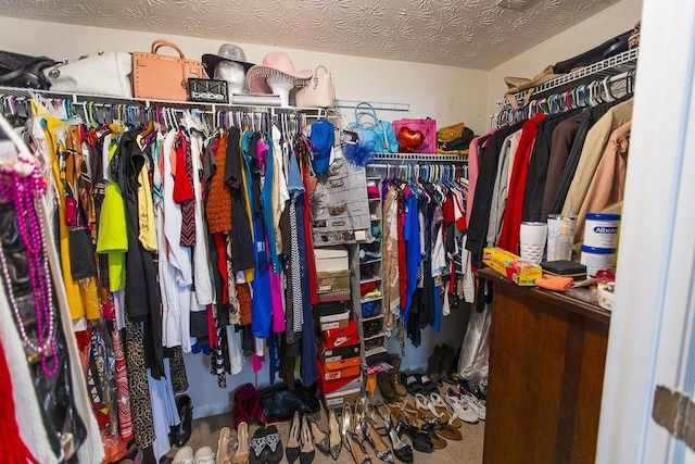 view of spacious closet