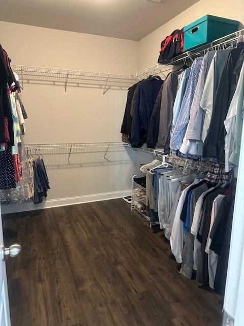2159 Holland Creek Ln, Buford, GA 30519 - walk in closet with wood finished floors