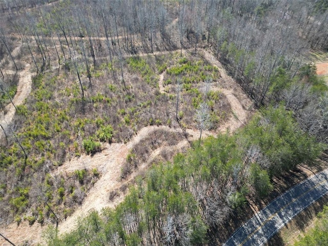 0 Truelove Rd, Cleveland GA, 30528 land for sale