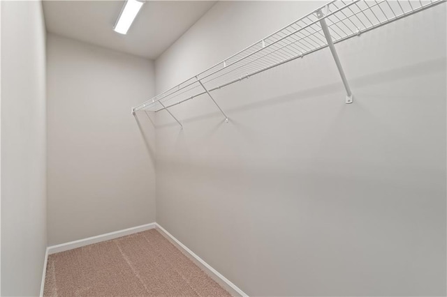 27 Cobalt Ln Unit 77, Newnan, GA 30265 - walk in closet featuring carpet flooring