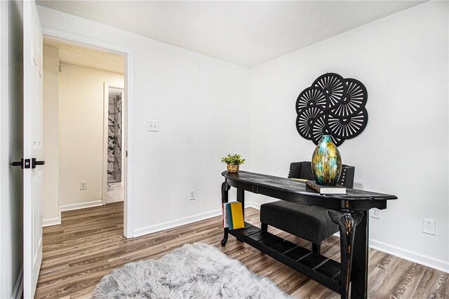 office featuring hardwood / wood-style flooring