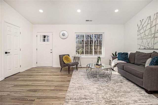 living room with wood-type flooring