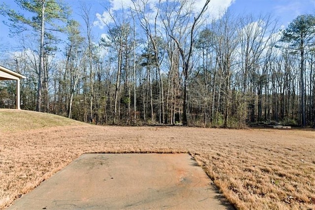 view of yard featuring a patio