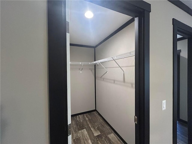 walk in closet featuring dark wood finished floors