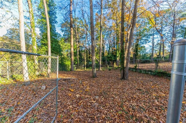 2363 Dabney Ter, Atlanta, GA 30344 - view of yard