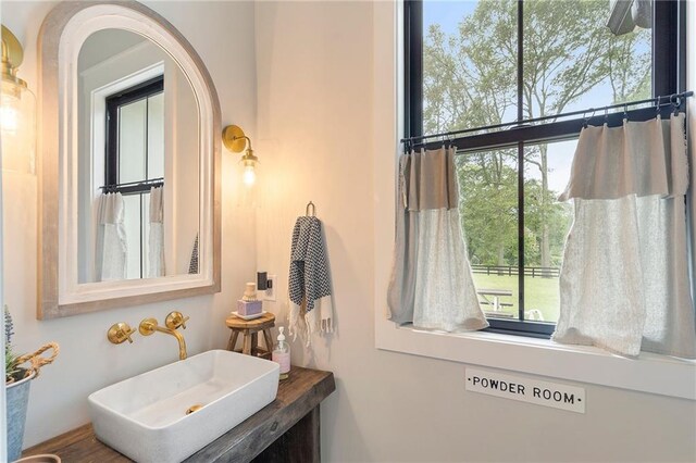 bathroom featuring hardwood / wood-style flooring, plenty of natural light, and sink