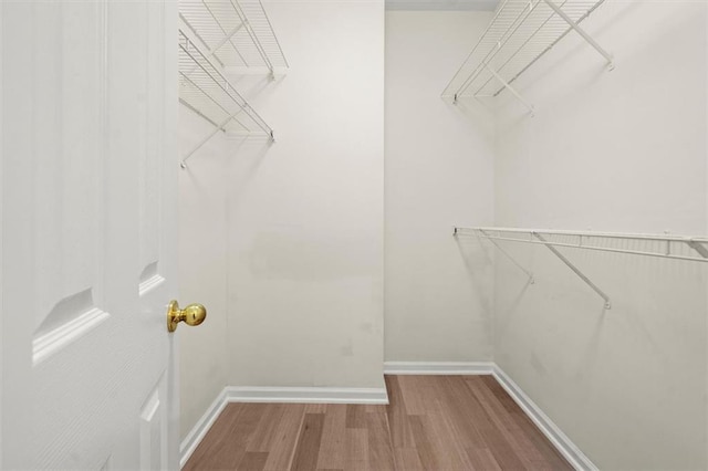 walk in closet with wood finished floors