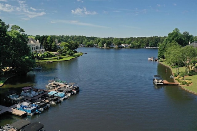 water view with a dock