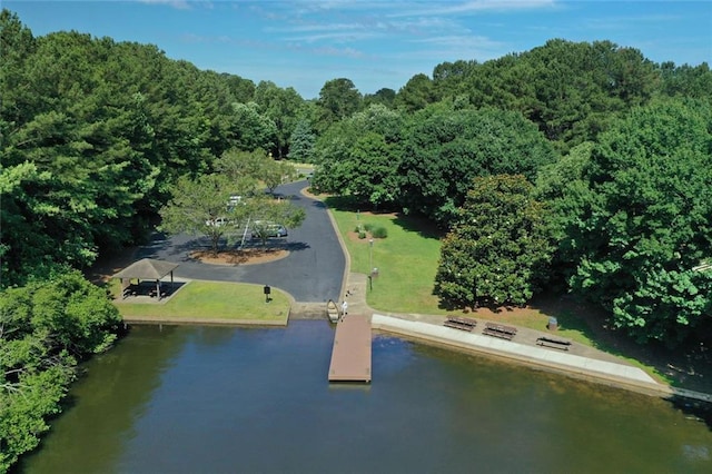 bird's eye view of a large body of water and a forest