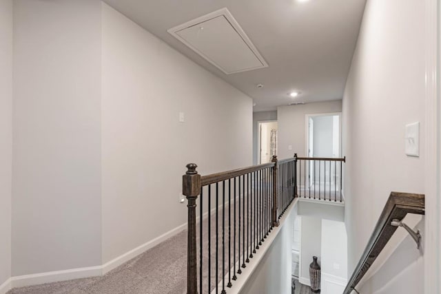 stairs with carpet floors