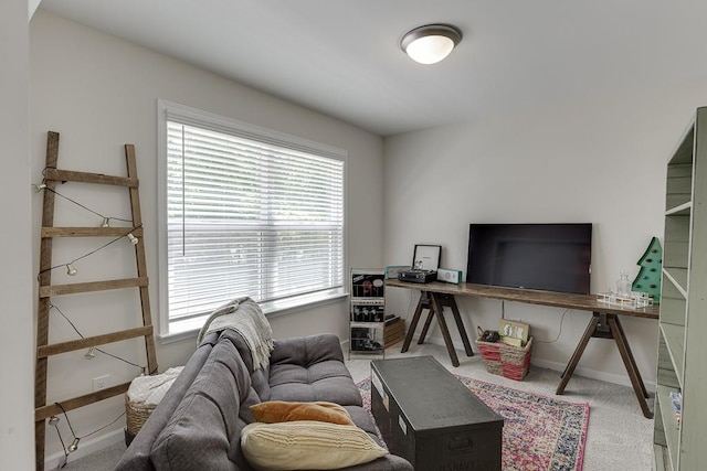interior space featuring baseboards and a wealth of natural light