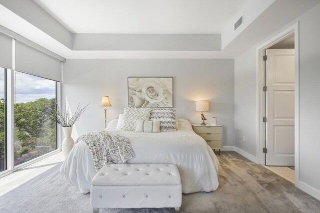 1820 Peachtree St Unit 614, Atlanta, GA 30309 - bedroom featuring carpet flooring, baseboards, and a raised ceiling