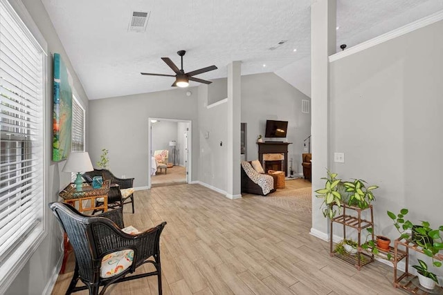 734 Evergreen Dr, Winder, GA 30680 - sitting room with lofted ceiling, a ceiling fan, light wood-type flooring, a fireplace, and a textured ceiling
