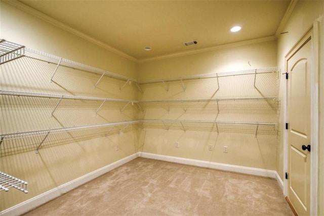 spacious closet with light colored carpet