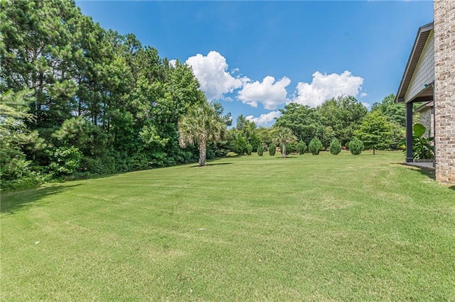 1405 Rainey Way, Hampton, GA 30228 - view of grassy yard with view of scattered trees