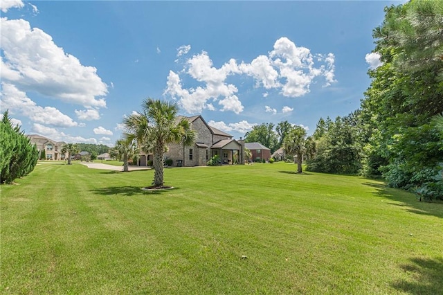 1405 Rainey Way, Hampton, GA 30228 - view of green lawn