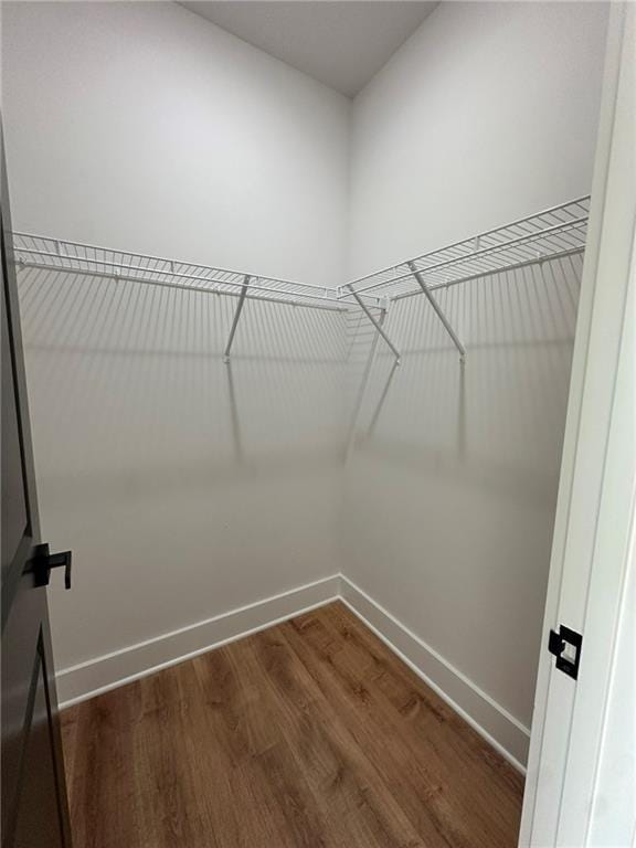 walk in closet featuring dark wood-style floors