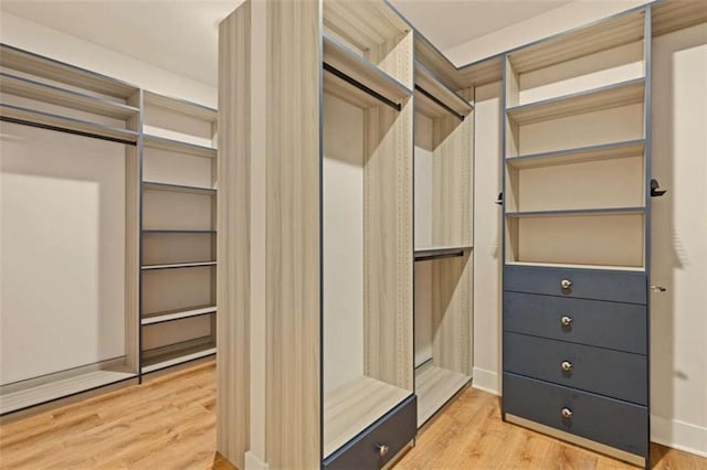 spacious closet with light wood-style floors