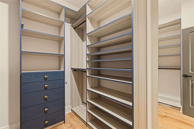 spacious closet with light wood-style floors