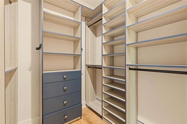 walk in closet featuring light wood-type flooring