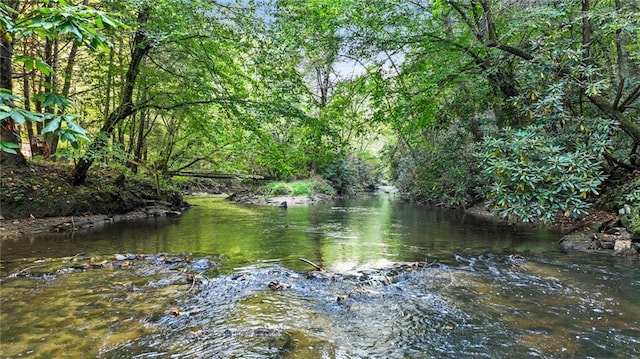 view of water feature