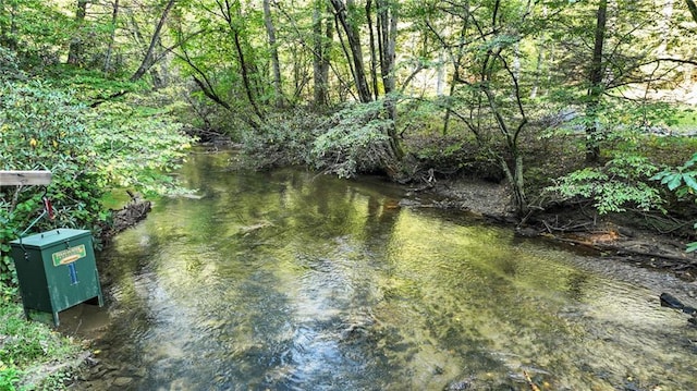 view of local wilderness