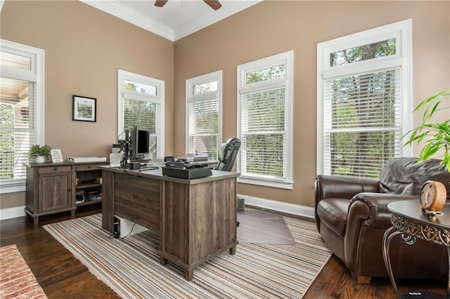 107 Estates At The Lake Dr, Canton, GA 30114 - office space featuring dark wood-style flooring, baseboards, a ceiling fan, and crown molding