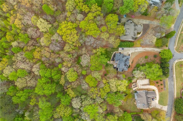 107 Estates At The Lake Dr, Canton, GA 30114 - birds eye view of property
