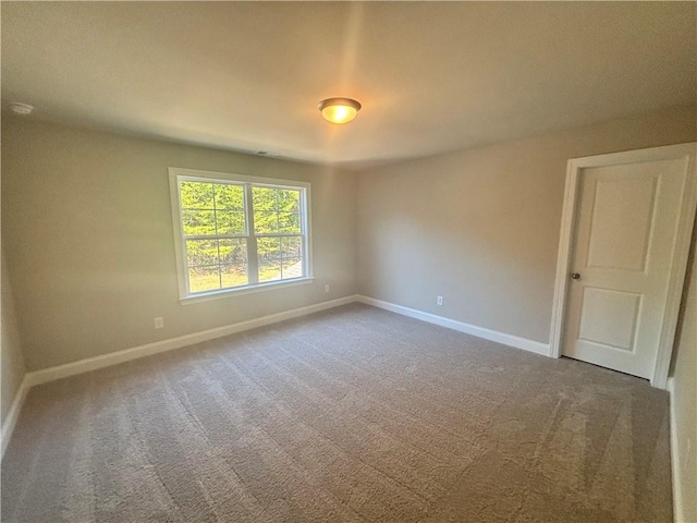 spare room with carpet