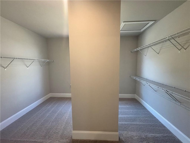 spacious closet with carpet