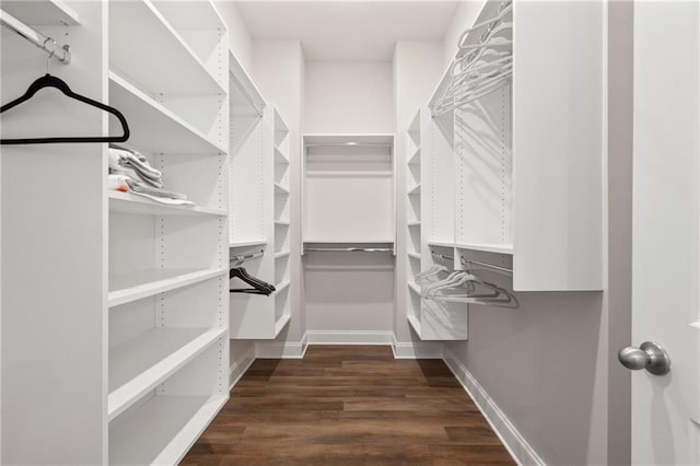 spacious closet featuring dark wood finished floors