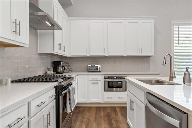 kitchen featuring a sink, wall chimney exhaust hood, a healthy amount of sunlight, and stainless steel appliances