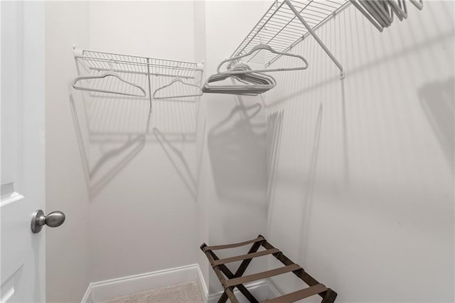 view of walk in closet