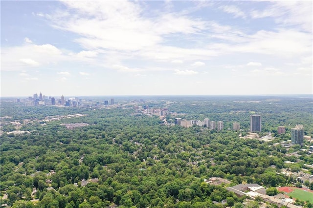 2972 Lookout Pl NE, Atlanta, GA 30305