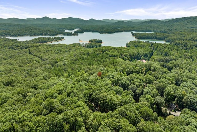 aerial view featuring a water and mountain view