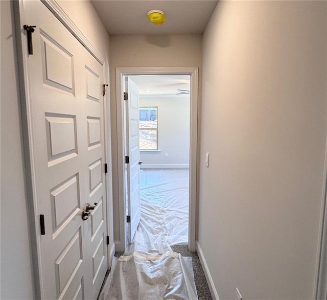 635 Forest Way, Cornelia, GA 30531 - hall with baseboards