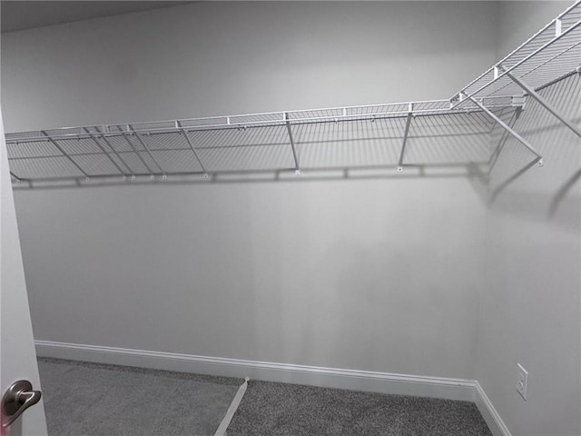635 Forest Way, Cornelia, GA 30531 - walk in closet with carpet