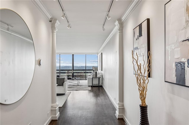 2660 Peachtree Rd NW Unit 23A, Atlanta, GA 30305 - hallway with track lighting, ornate columns, dark wood-type flooring, expansive windows, and ornamental molding