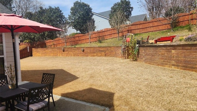 view of yard with outdoor dining area, a fenced backyard, and a patio area