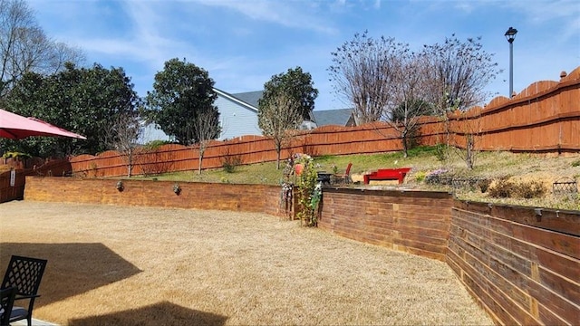 view of yard featuring a fenced backyard