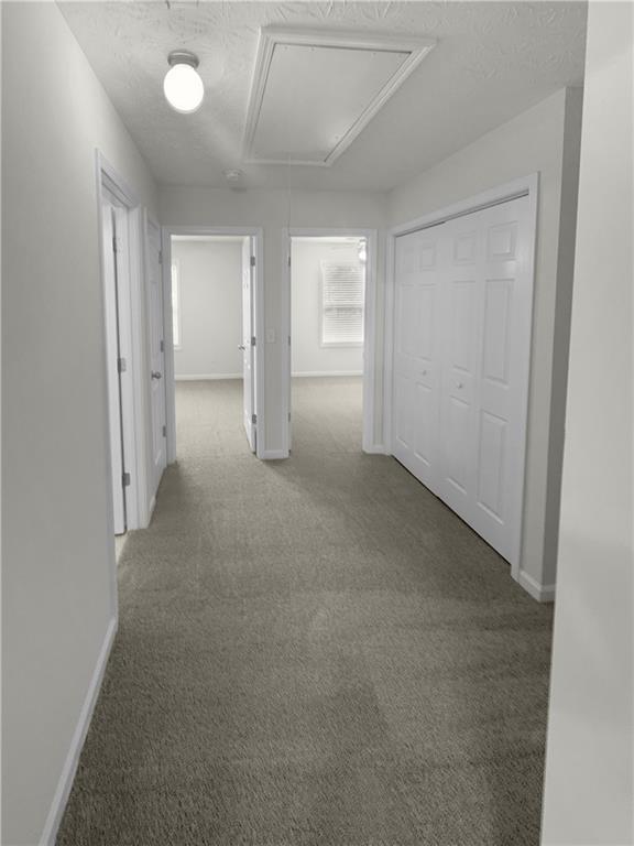 hallway featuring a textured ceiling and light carpet