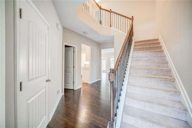 staircase with hardwood / wood-style flooring