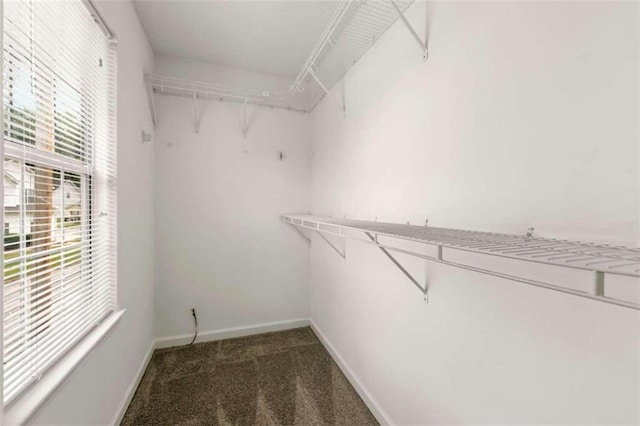 walk in closet with dark carpet