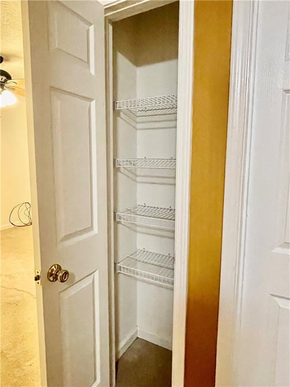 3793 Mays Ct SW, Atlanta, GA 30331 - view of closet