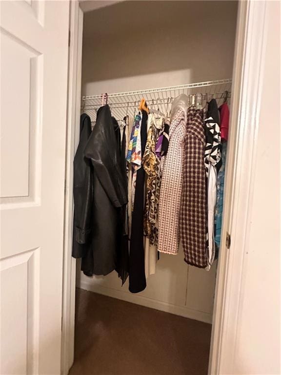 3793 Mays Ct SW, Atlanta, GA 30331 - view of closet