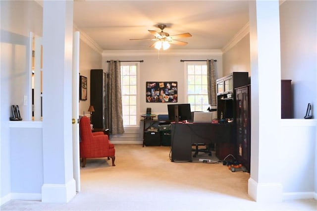 home office with ornamental molding, plenty of natural light, carpet flooring, and ceiling fan