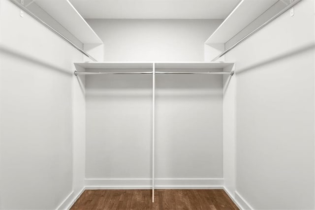 walk in closet featuring dark hardwood / wood-style flooring