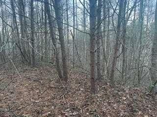 Listing photo 3 for 0 Overlook Trail, Hiawassee GA 30546