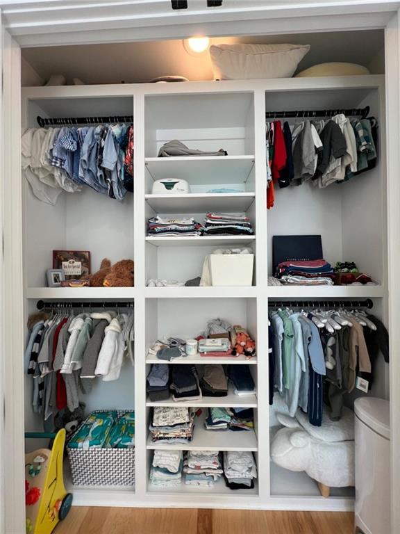 view of closet