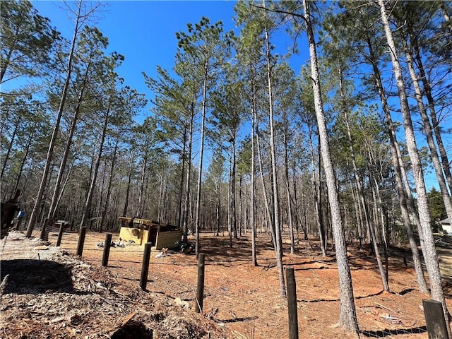 613 Bill Rutledge Rd, Winder, GA 30680 - view of yard